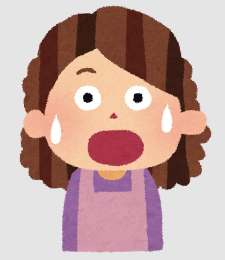 ヘルパーさん